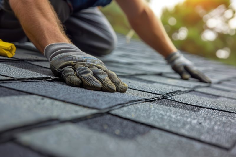 Asphalt Roof Leak Repair in Canton, MI