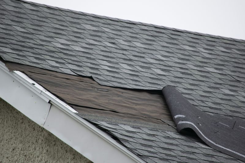 Asphalt Shingles Repair in Farmington, MI