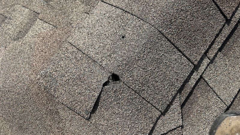Damaged Roof Repair in Gregory, MI