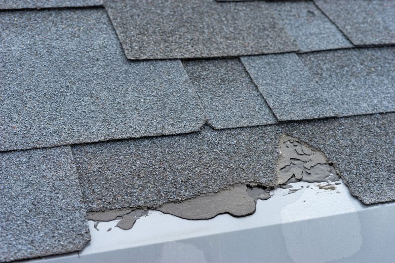 Damaged Roof Repair in Holly, MI