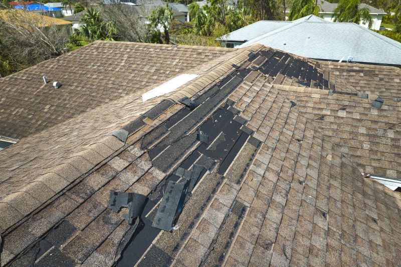 Damaged Roof Replacement in Chelsea, MI