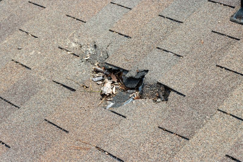 Shingle Roof Replacement in Ann Arbor, MI