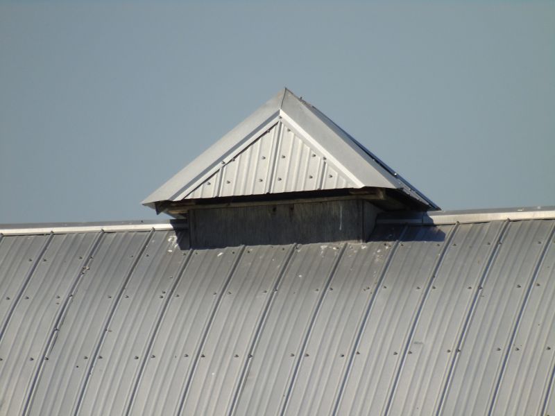 Tin Roof Installation in Holly, MI